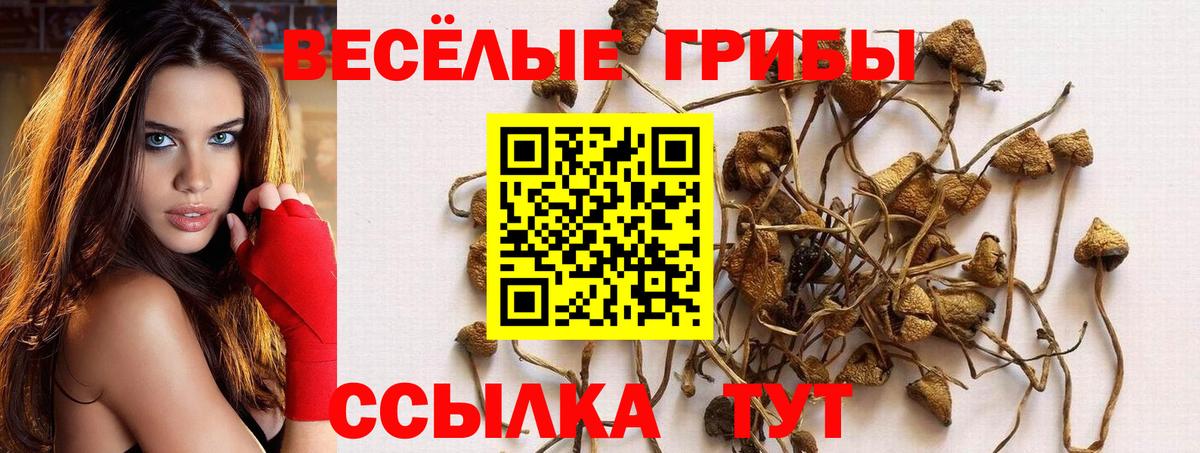 Галлюциногенные грибы GOLDEN TEACHER  Вход с VPN  Губаха 